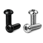 پیچ آلن قارچی